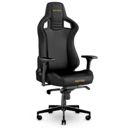 EXVEGA Astra Profesyonel Çalışma ve Oyuncu Koltuğu