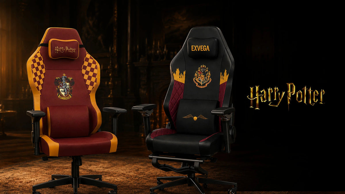 Harry Potter Koleksiyonu