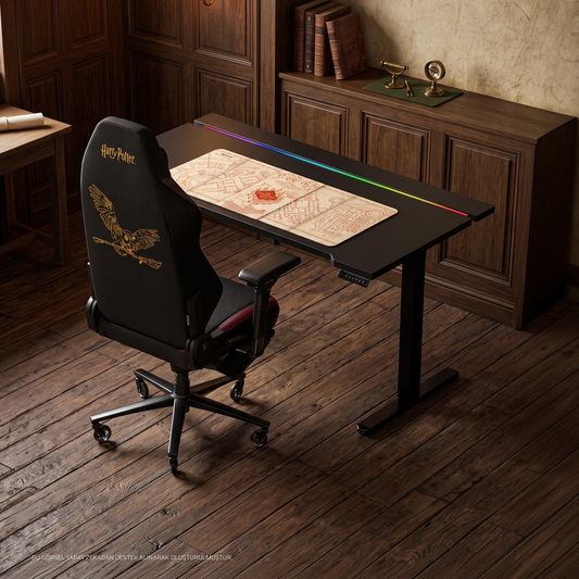 Pandora Pro Harry Potter Koltuk + Nexus Pro Masa + XXL Marauder's Mousepad | Profesyonel Set