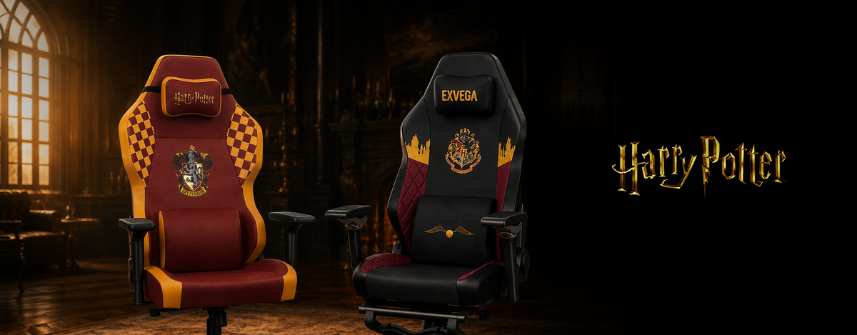 Harry Potter Koleksiyonu