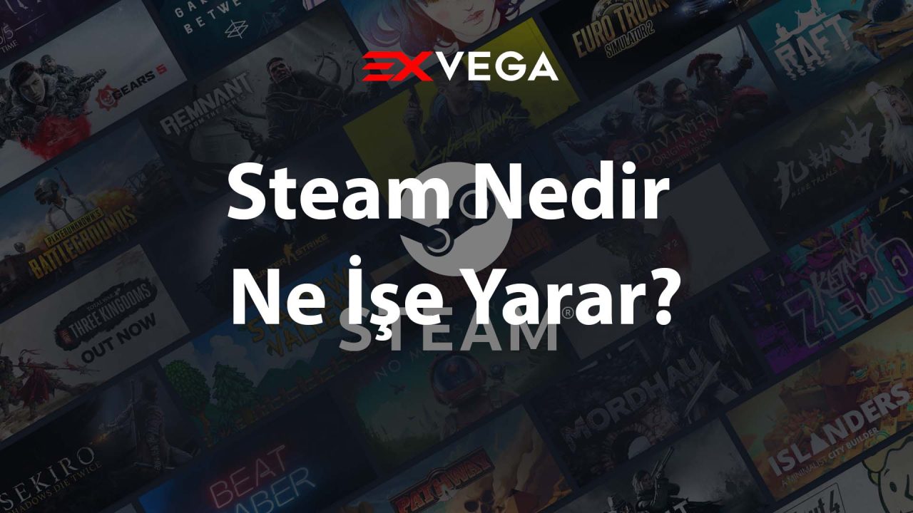 Steam Nedir Ne İşe Yarar?